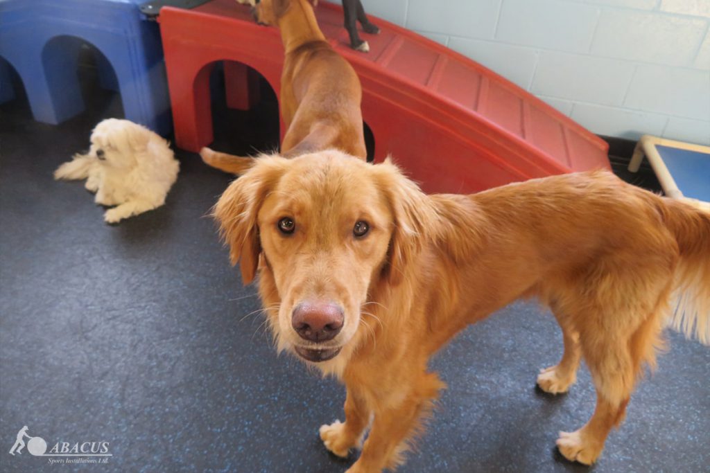 Rubber padding outlet for dog run